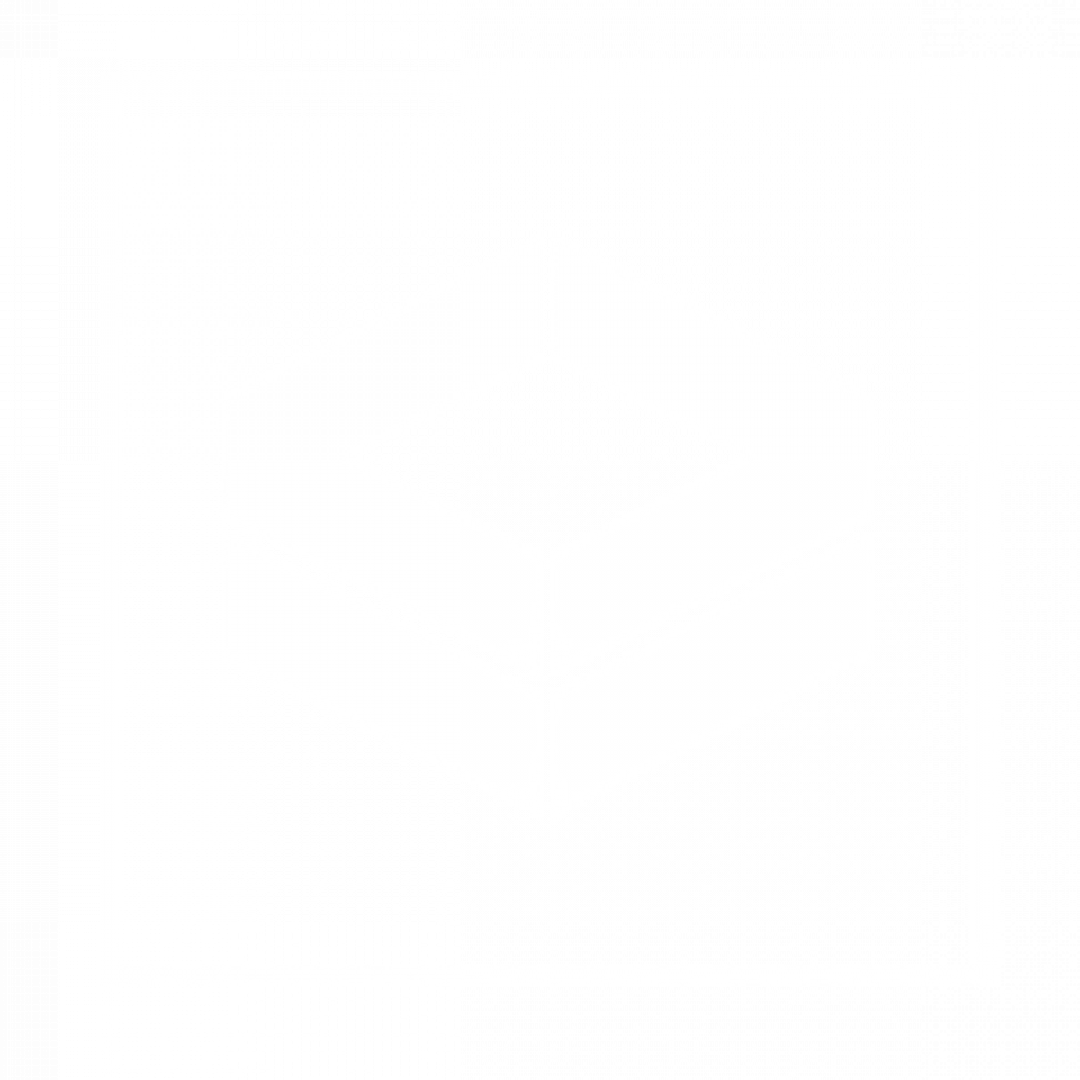 Bodegas y Construcciones